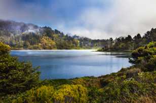 Redwood lagoon-2768 Redwood lagoon-2768